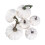 6 Pcs Pumpkin Diy Props Man Artificial Small Pumpkins Decorations 6