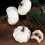 6 Pcs Pumpkin Diy Props Man Artificial Small Pumpkins Decorations 4