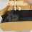 Portátil Transpirável Bolsa De Para Ao 8