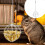 1 Alimentador para Hamster Coelho de Grama 5
