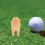 12 Unidades Acessórios De Golfe Portáteis Multifuncionais De 5
