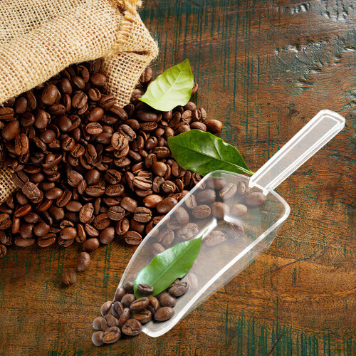 8Pcs Mini Scoops Clear Food Serving Scoop 2