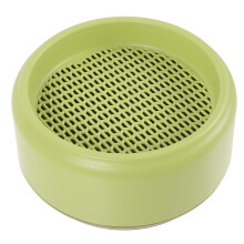 Cat Catnip Plants Låda Hydroponisk Odling Jordfri