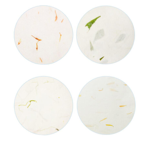 40 Papier Xuan Chinoise 2