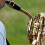 Conjunto Bocal Para Saxofone Alto Plástico Acessórios 4