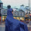 Poncho De Chuva Com , Impermeável Refletivo, Capa 2