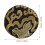 Tigela De Som Buddha Com Almofada Para Decoração 3