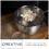 4Pièces Acier Noir Cuisine Maison Écumoire Polyvalente 10