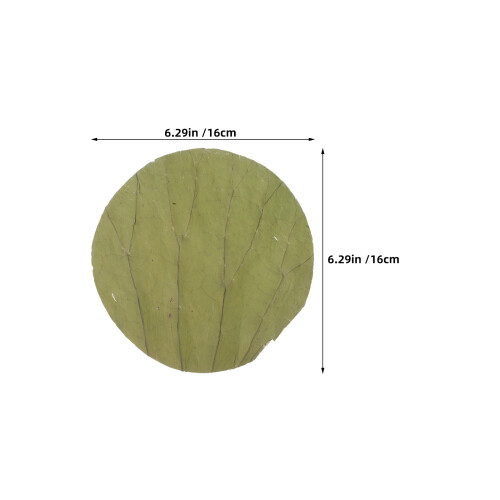 100 Pièces De Lotus Séchées 16 Cm Pour Sushi Présentation 1
