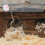 300 Pcs Hamster Varmullstussar Vinter Djurullstussar Djukäddar 5