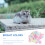 300 Pcs Hamster Varmt Bomullskulor Vinter Djurfiltar 11