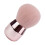 1 St Mushroomsformad Pensel För Löst Puder, Blush Och Foundation 4