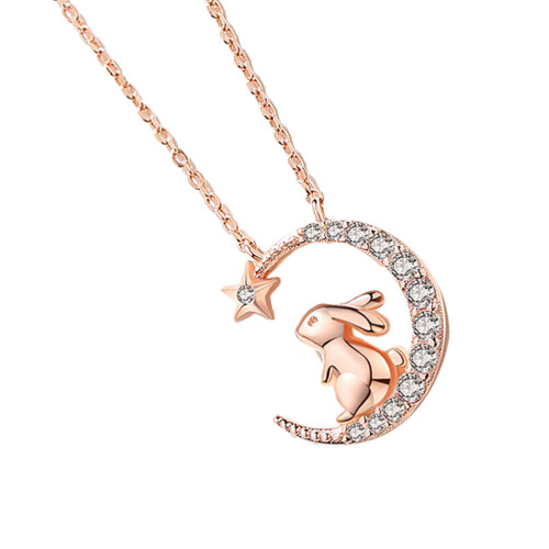 Rhinestone Halsketting Ster 2