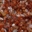100 G Poli Couleur Mixte Pour Aquarium (Rouge) 5
