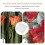 100 Pezzi Cellophane Trasparente 45 Cm Impermeabile Per Fiori 8