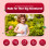 maxmedix Kids Probiotic Gummies - 90 Gummies 3