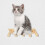 Husdjurskattplattform Kattmöbel Kattklätterbräda Katttillbehör 9
