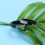 Inoxidable Anti Alergia De Anillo Nariz Mujer 6