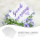20 Pièces Carte Pliable Vintage Enveloppe 7