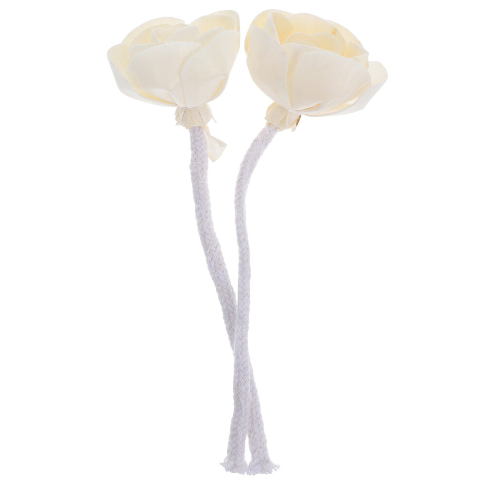 2 Pezzi Diffusore In Per