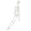 Human Skeletonmodell Medicinsk Med Avtagbara Delar 45 Cm 5