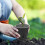 10Pcs Nät Kruka För Plantförökning 8