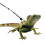 2 Set Långöra Traktionsrep Reptilharnes För Käledjur 5