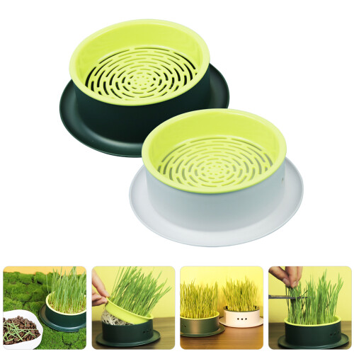 2St Kattgräs Cup Hydroponisk Kattgräsplanter Kattnipsplanter Låda 2