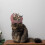 Plush Kattåterhämtningskrag Persika Halsband För Skydd 6