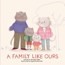 A Family Like Ours by Brooke Culler Paperback Book