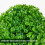 Decorative Artificial Plants Small Fake For Tabletop Simulated Potted 7