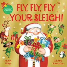 Fly Fly Fly Your Sleigh by John Hay Paperback Book