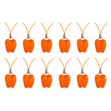 12St Tandendoos Melktanden Kids Plastic Melktandhouder