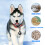Smart Tracer Skyddsfodral Tracer Protector Kompatibel Tile Mate 6