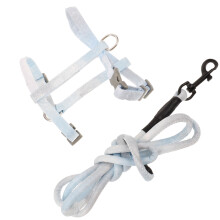 Elegant Bowtie Katt Harneskjol Med Justerbar Set
