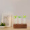 1 Set Propagationsrör För Växtterrarium, Växttillbehör 10