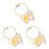 3Pcs Transparente Para Armazenamento De De Cachorro 5