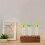 1 Set Transparent Propagationsrör, Plant Terrarium, Växtaccessoar 10