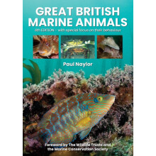 Great British Marine Animals by Paul Naylor Paperback Book