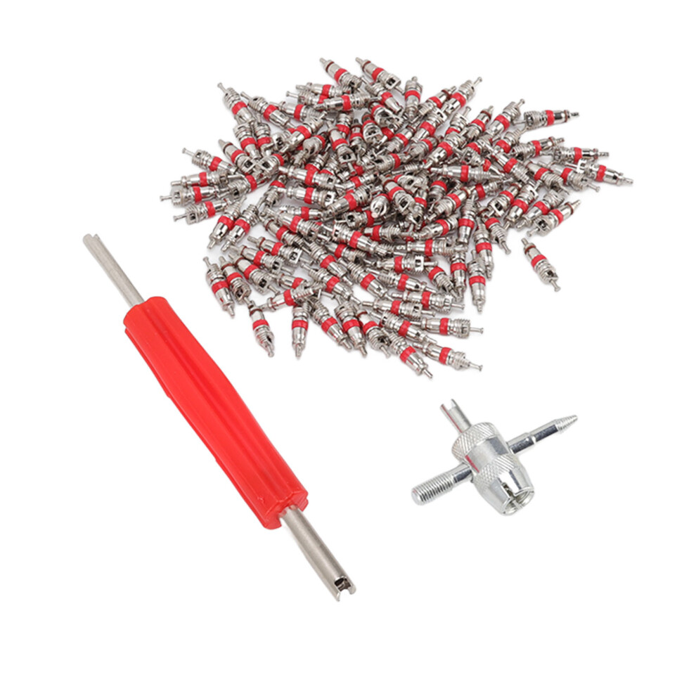 Tire Valve Stem Core Set With 4 Way & Double Head Removal Tools - 123Pcs 4631357312308