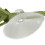 Reptile Terrarium Safe Plastic Turtle Leaf with Strong Suction Cup 9