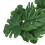 Reptile Terrarium Safe Plastic Turtle Leaf with Strong Suction Cup 8