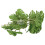 Reptile Terrarium Safe Plastic Turtle Leaf with Strong Suction Cup 14