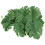 Reptile Terrarium Safe Plastic Turtle Leaf with Strong Suction Cup 15