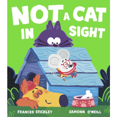 Not a Cat In Sight by Frances Stickley Paperback Book