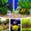 De Para Camarones Acuario Transparente Cómodo 11
