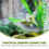 De Para Camarones Acuario Transparente Cómodo 9