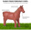 Learning Minds Set of 8 Jumbo Farm Animals 6