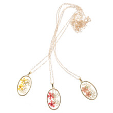 3 Piezas Collar Con Secas Especimen Vegetal Para