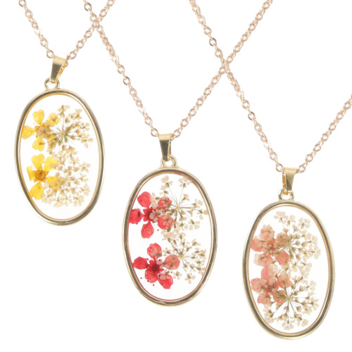3 Piezas Collar Con Secas Especimen Vegetal Para 2